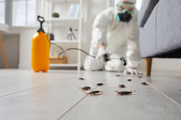 Commercial Kitchen Cockroach Control in Byram Center